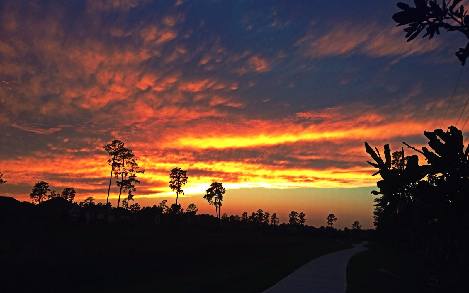 A red and orange sunset sky over Cypress