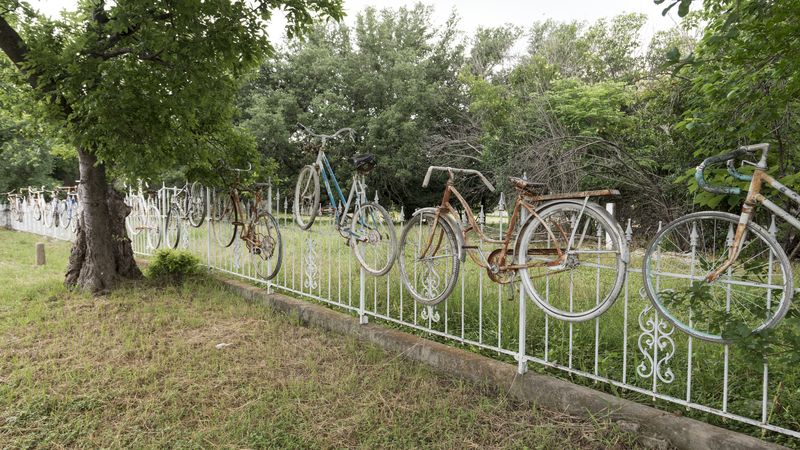 Bicycles on a white iron fence under oak trees in Salado
